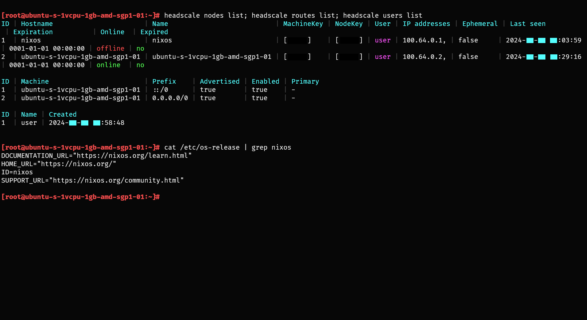 A screenshot of Headscale information shown on the server, a VPN mesh is made between a local machine and the server.